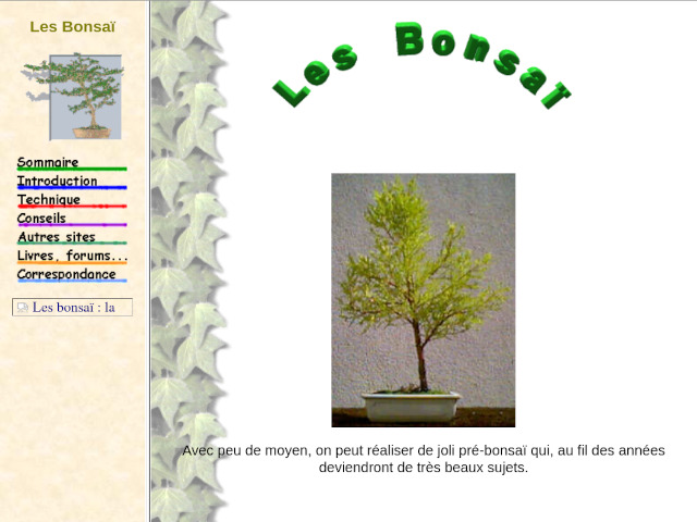 bonsai website